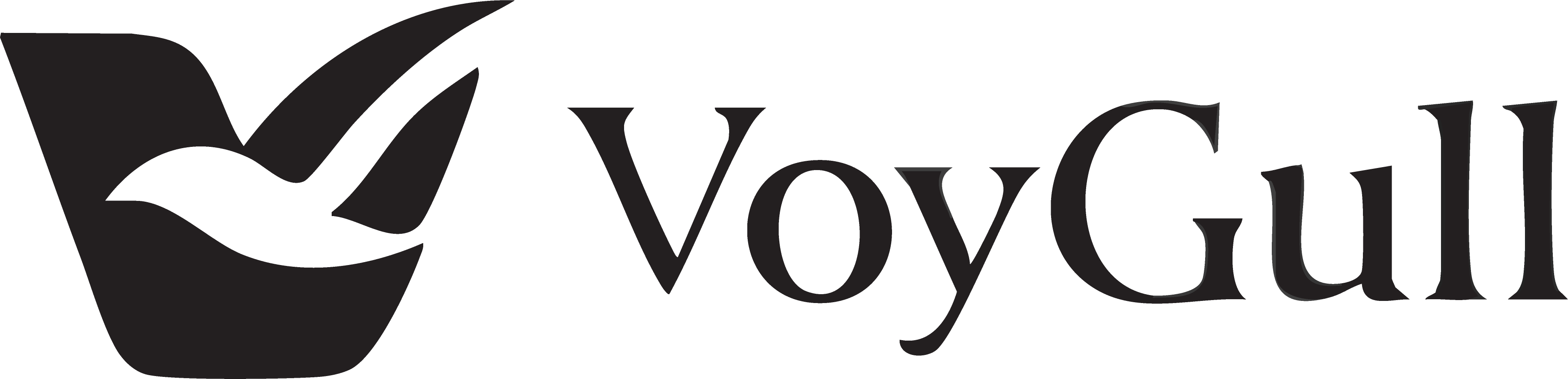 VoyGull Logo